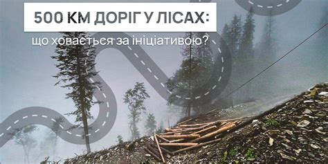 Чому 500 км нових лісових доріг − сумнівна ініціатива? - Українська ...
