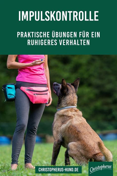 Impulskontrolle Beim Hund So Kannst Du Sie Trainieren Artofit