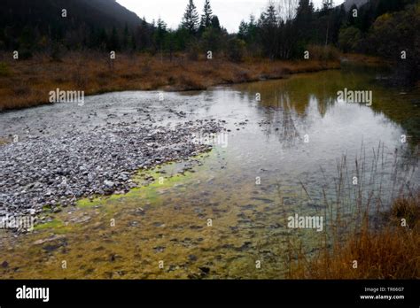 riverside of river Isar, Germany, Bavaria Stock Photo - Alamy