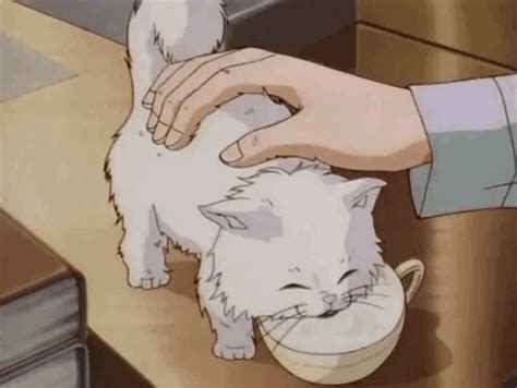 Pin By Typicalbittersweet On Catmeows Aesthetic Anime Cute Anime Cat