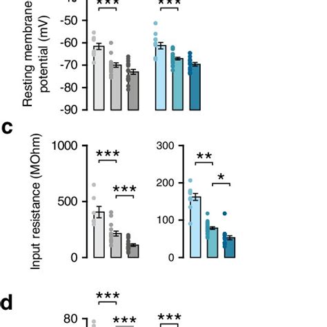 Dendritic spine densities show a similar developmental pattern across ... 