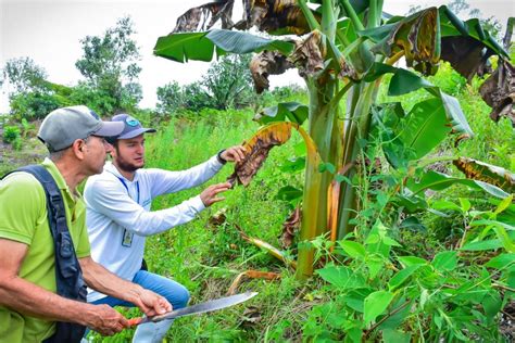 Desde el Concejo llovieron críticas a la Alcaldía por el tema campesino