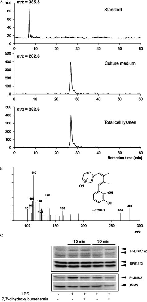 A The Single Ion Monitoring Sim Chromatogram Of 77 Dihydroxy Download Scientific Diagram