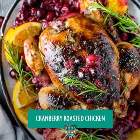 Cranberry Roasted Chicken Camp Southern Ground