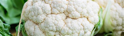 Heirloom Cauliflower Seeds From Patriot Seeds Non Gmo Organics