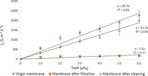 Permeate Flux As A Function Of The TMP For The Virgin Membrane