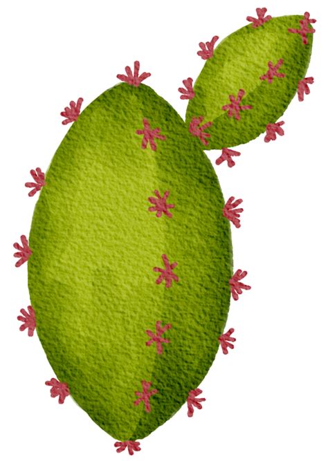 Cactus Suculento Planta Acuarela Png