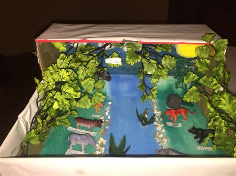 3d Rainforest Project In A Shoebox Habitats Projects Deciduous