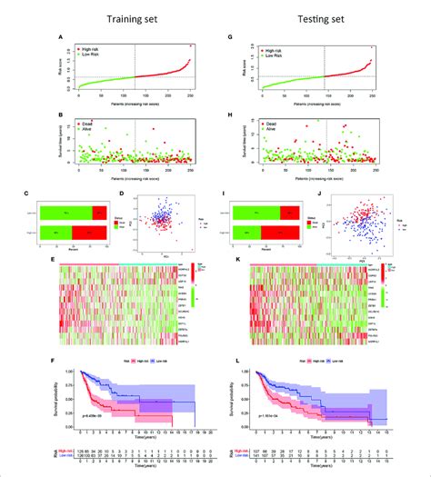 Development And Validation Of The Risk Model For Patients With Hnscc