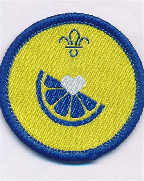 Beaver Scouts Badges | Scout Store