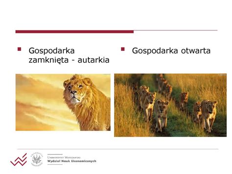 Gospodarka otwarta podstawowe pojęcia ppt pobierz