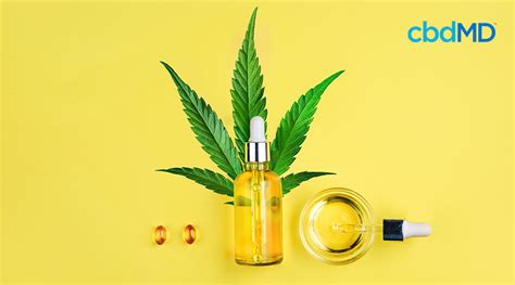 Hemp Oil Vs Cbd Oil What Are The Differences Cbdmd