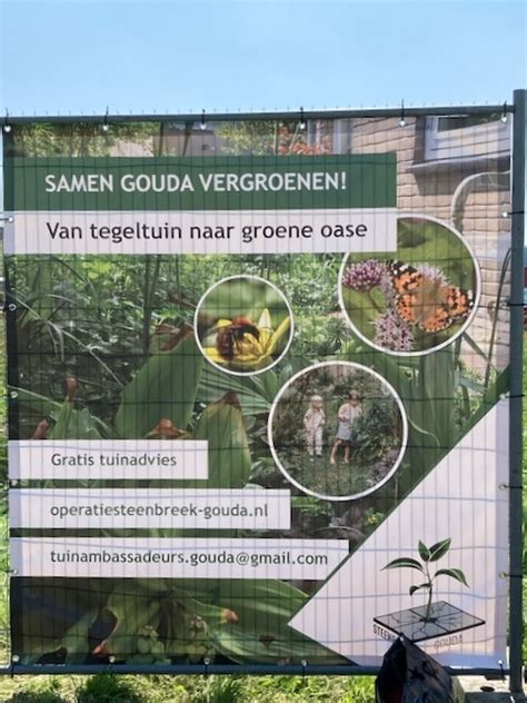 Groenblauwe Wijk Wil Meer Groene Tuinen De Tuin Van Nu