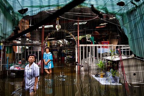 Relief agencies fear disease in flooded Thailand | CNN