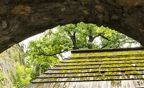 Verdure Cesky Krumlov République Tchèque Normand Pleau Flickr