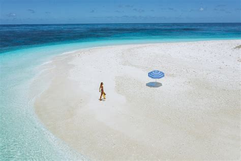 Wilson Heron Island Southern Great Barrier Reef Australia