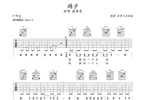 鸽子吉他谱徐秉龙c调弹唱简单95单曲版 吉他世界