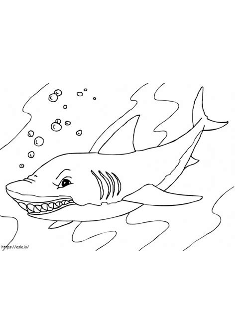 Whale Shark San Jose Sharks Colouring Pages Coloring Page