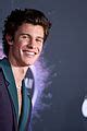 Shawn Mendes Hits The Red Carpet Solo At Amas Photo