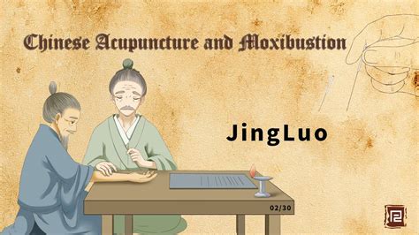 Chinese Acupuncture And Moxibustion Jingluo Youtube