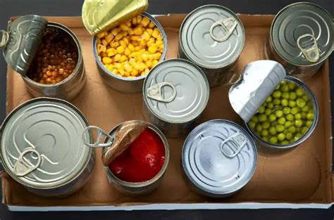 ᐅ Can Chickens Eat Canned Vegetables? | Toxic or Healthy