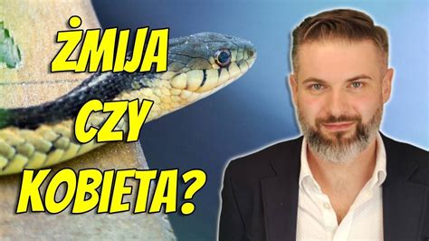 Roman Warszawski Niedźwiedzie lepsze od facetów YouTube