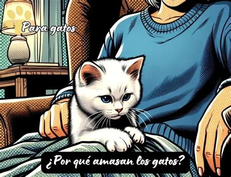 ⊛ ¿por Qué Los Gatos Amasan ¡¡descubre Todas Las Razones