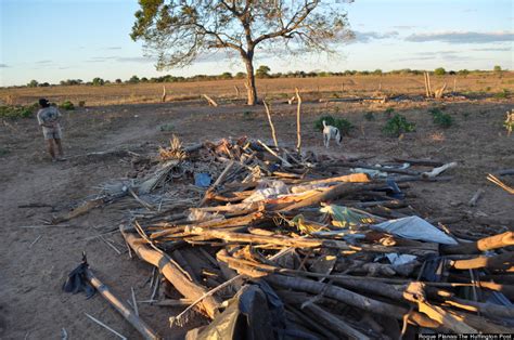 10 Reasons Brazil's Quilombo Reparations Program Is Failing Afro-Brazilians