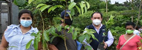 PREFECTURA ENTREGA PLANTAS FRUTALES Y FORESTALES A BENEFICIARIOS DE