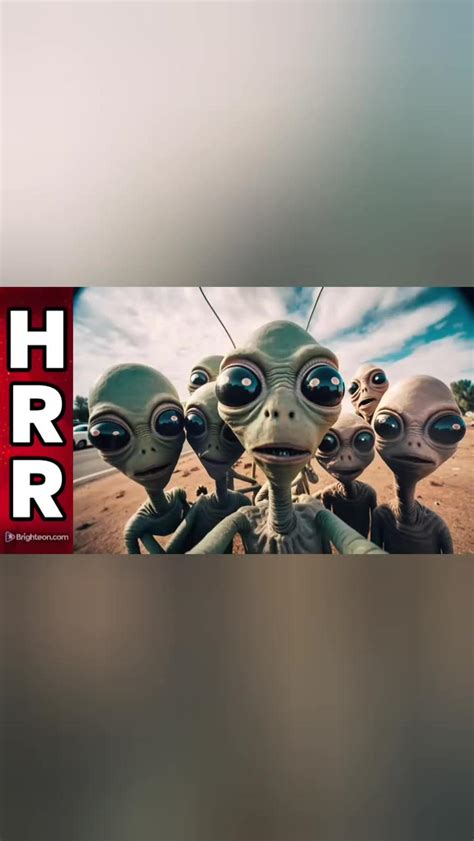 Fake crisis coming soon - One News Page VIDEO