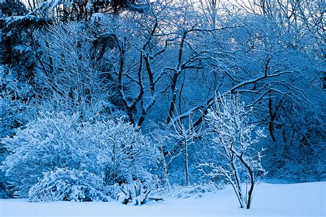 Winter in Maine - Maine Tourism Association