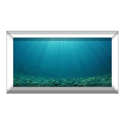 Stony Bottom Open Water Background — Aquarium Vinyl