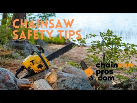 Chainsaw Safety Tips – Empire of Tools