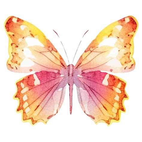 Vektor Aquarell Gemalter Schmetterling Handgezeichnete Designelemente