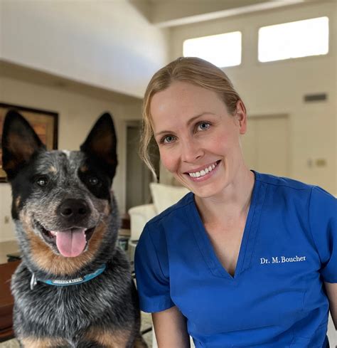 Veterinary Telehealth - WilderVet