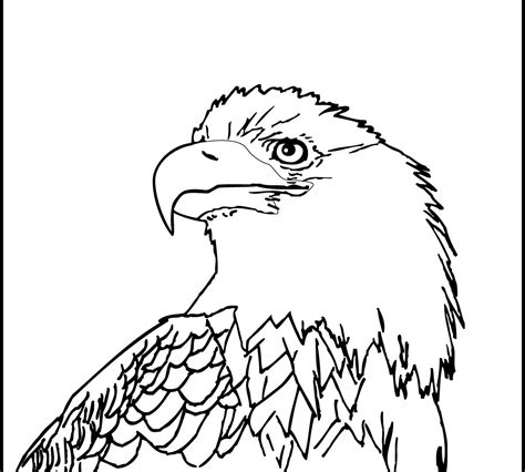 Eagle Drawing Outline at GetDrawings | Free download