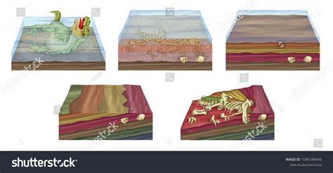 Geological Processes Images: Browse 10,778 Stock Photos & Vectors Free ...