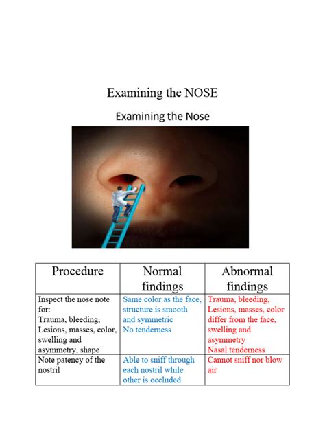 Nose Assessment Normal Findings