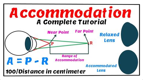 Accommodation A Complete Tutorial Youtube