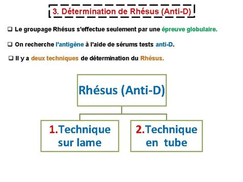 Universit Batna Facult Des Sciences De La