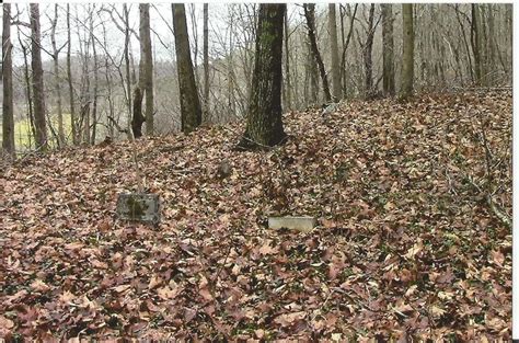 New Zion Cemetery Dans Willow Wood Ohio Cimeti Re Find A Grave