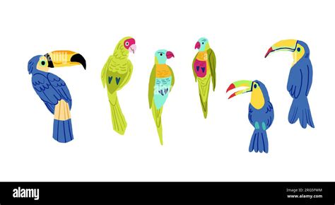 Flat Design Vector Birds Icon Set Popular Birding Species Collection