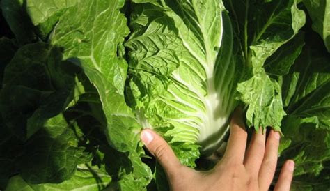 Продукты из Китая - Со Вкусом