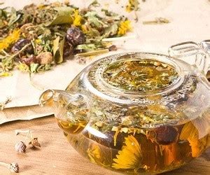 Травы для щитовидной железы, которые помогают - health info