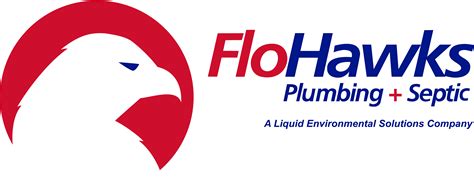 The Hidden Dangers of Household Leaks - FloHawks