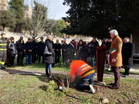 Macerata Si Ferma A Anni Dalla Morte Di Pamela Mastropietro Al