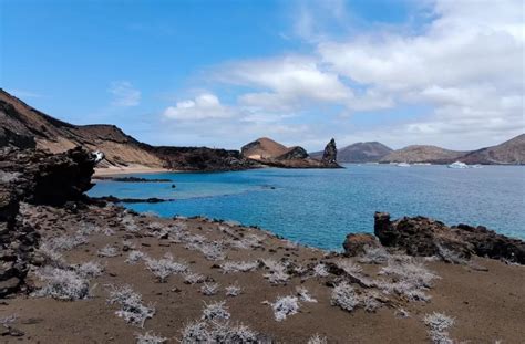 The Ultimate Bartolome Island Tour From Santa Cruz