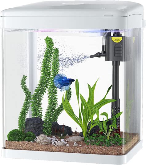 Comprar PONDON Fish Tank 3 Gallon Glass Aquarium 3 In 1 Fish Tank