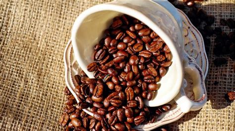 Perbedaan Arabika Dan Robusta Biji Kopi Mana Yang Lebih Baik