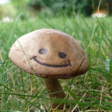 Dirty Tenant Girls Blowjob Blowjob Porn XHamster